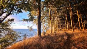 Radreise Dänemark 2025 #395, Fyn, Sjælland, Møn, Lolland, Langeland, Ærø, August 2025